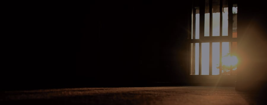 Life in 2020- the Year of Ambiguity