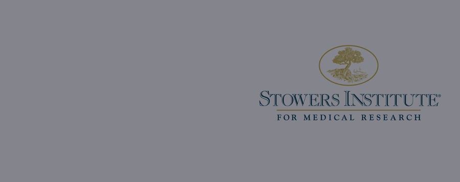 Stowers Institute Selects Terso Solutions for Stockroom Inventory Management