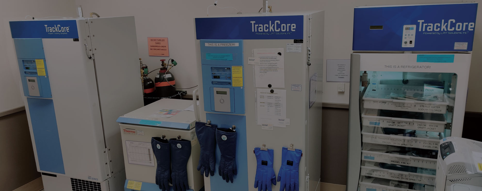 Making Milestones in Healthcare