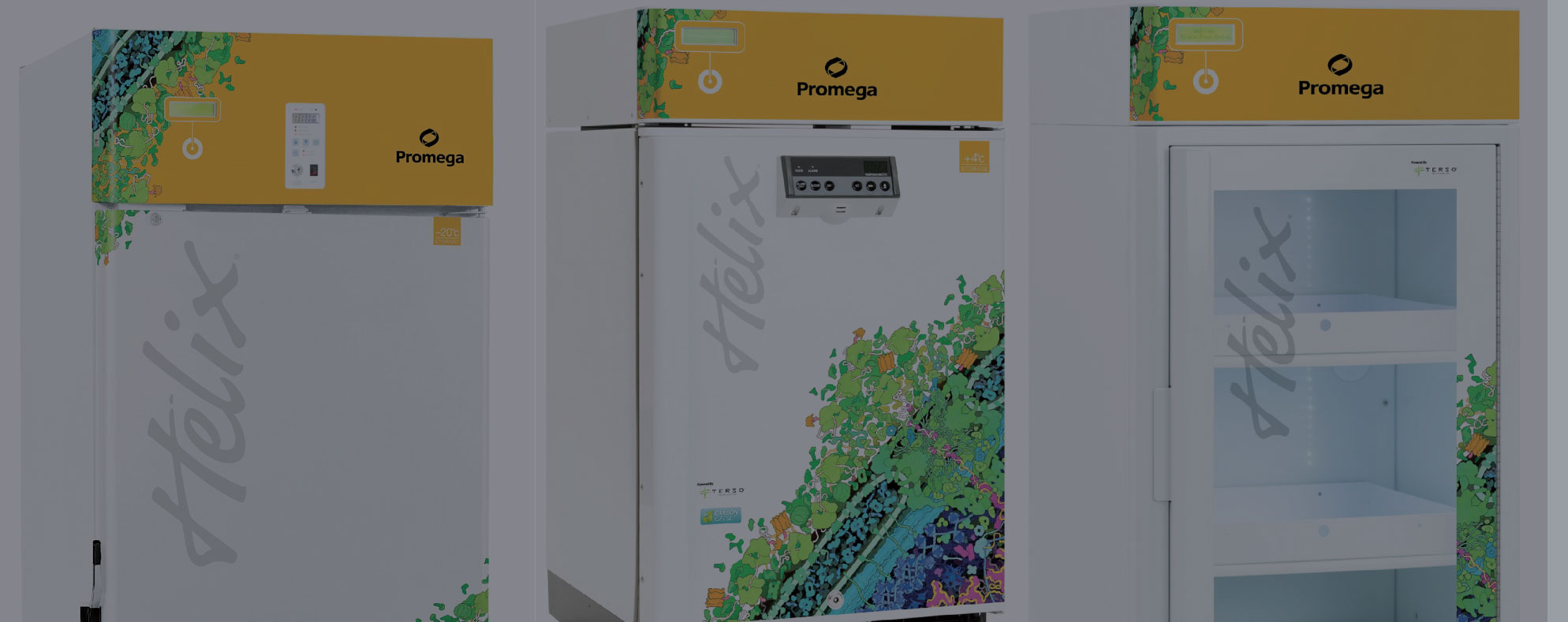 Promegas’s RFID Freezer Competitive Advantage